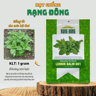 Hạt giống Bạc Hà Chanh Lemon Balm 601 (1g~300 hạt) rất thơm, nhiều công dụng - Hạt giống Rạng Đông