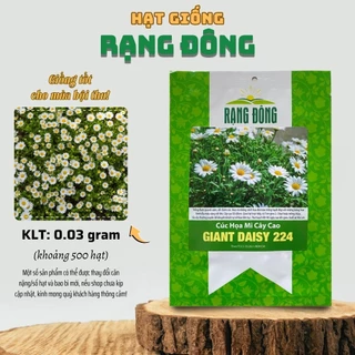 Hạt giống Hoa Cúc Họa Mi Cây Cao Giant Daisy 224 (0,03g~500 hạt) nở lâu - Hạt giống Rạng Đông