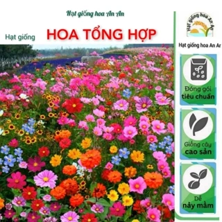 [Gói 500 hạt ] Hạt giống hoa tổng hợp 15 loại hoa siêu đẹp, siêu dễ trồng | Tỷ lệ nảy mầm >90%