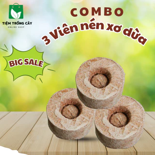 COMBO 3 Viên nén Xơ Dừa - dùng để ươm cây, gieo hạt giống, giúp nảy mầm tốt