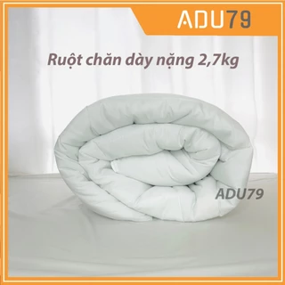 Ruột chăn bông DÀY bông gòn 2.7kg mùa đông dày dặn cao cấp - ADU79