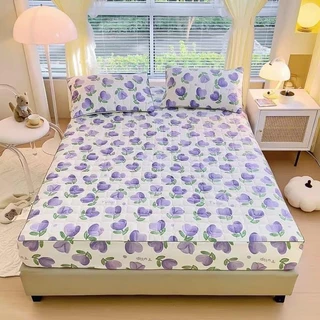 Bộ ga gối vải cotton đũi set 3 món ga gối trần bông cotton đũi bo chun bọc đệm kích thước m6/m8/2m