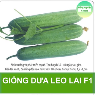 Hạt Giống Dưa Leo F1 Dễ Trồng, Giòn Ngọt 1gr