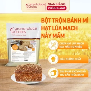 Bột Trộn Bánh Mì Puratos Grand-Place VN Hạt Lúa Mạch Nảy Mầm Puravita Sprouted Rye_1kg-4015573