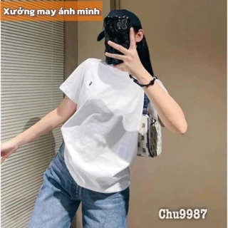 Áo phông nữ cotton tàu thêu ngựa cổ tròn form rộng siêu Hot