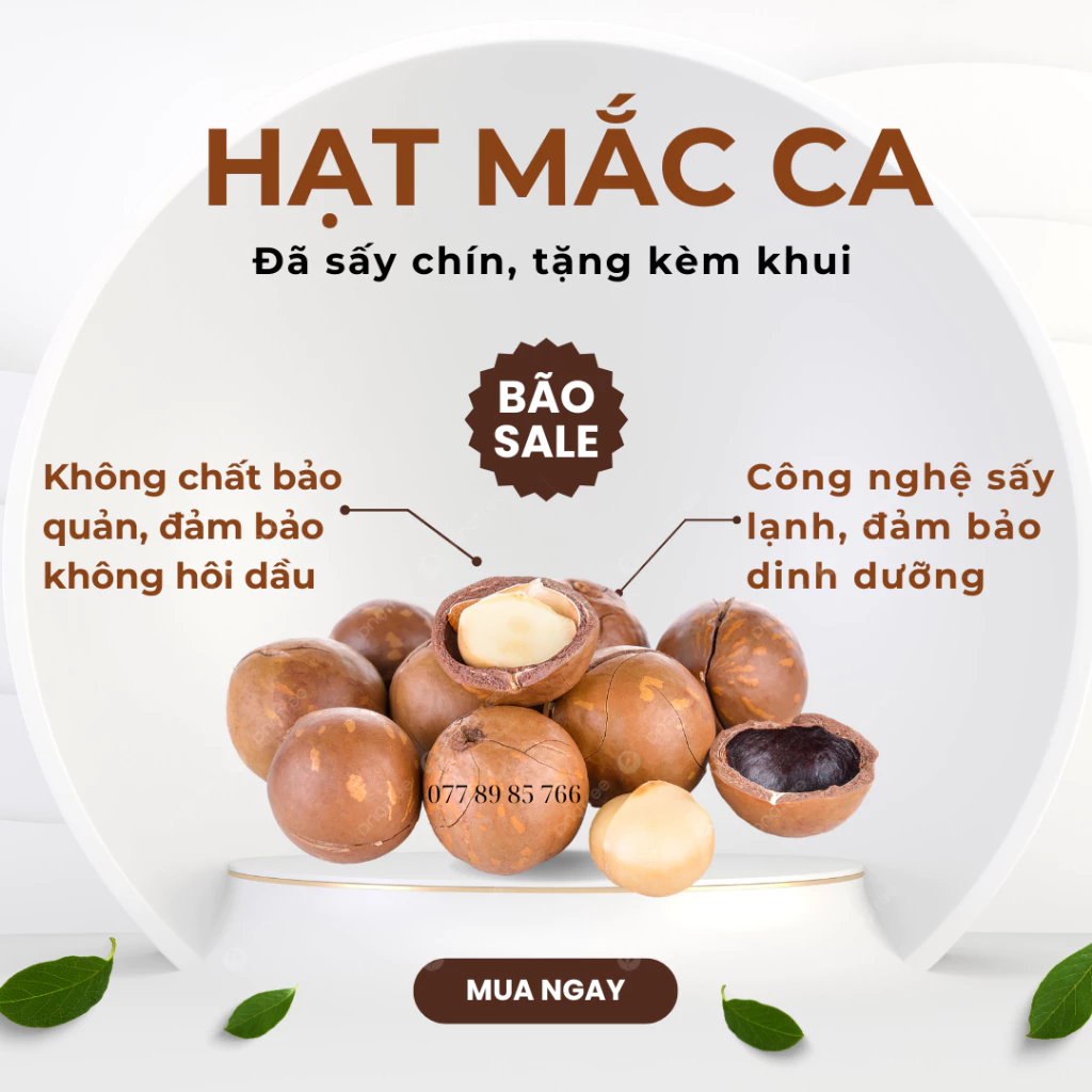 Hạt mắc ca tây nguyên đã sấy chín, tặng kèm khui, đảm bảo không hôi dầu