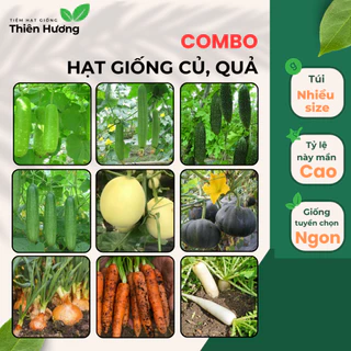 Hạt giống Củ, Quả nhiều loại | Trồng tại nhà | Trồng chậu | Dễ trồng | Năng suất cao - Hạt giống | Dễ trồng quanh năm