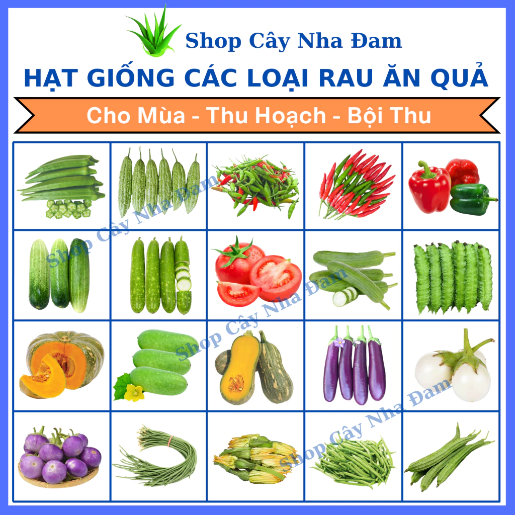 Hạt Giống Củ, Quả, Nhiều Loại, Trồng Trong Chậu, Dễ Trồng, Trồng Quanh Năm, Cho Năng Suất Cao