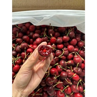 [HOẢ TỐC] Cherry California Size 9.5
