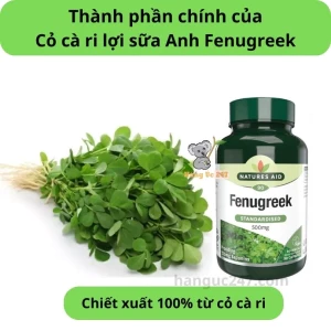 [2027]Cỏ Cà Ri Fenugreek Natures Aid 500mg Uk