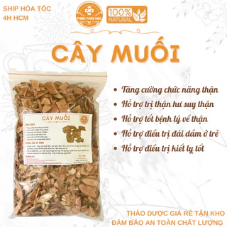 500g Cây Muối (Hàng Mới, Khô, Sạch, Thơm) - Hỗ Trợ Suy Thận, Thận Yếu, Thận Hư, Đau Nhức Xương Khớp