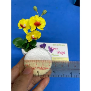 Xốp làm gương sen, nhụy hoa hướng dương - đk 4.5cm (10cuc)