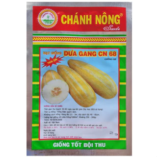 Hạt Giống Dưa Gang trái dài - trái tròn 2g