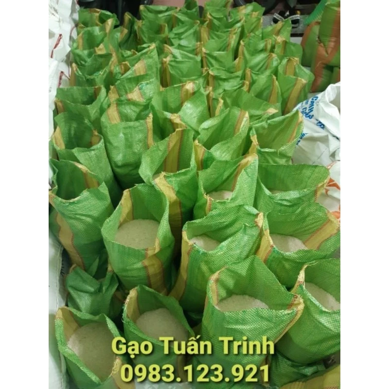 🌾🌾🌾 Combo 5kg gạo Tài Nguyên Chợ đào hạt nhỏ (cũ) xốp nở, mềm cơm (không dẻo)