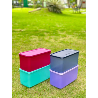 Bộ hộp Bảo quản thực phẩm TUPPERWARE FUNTASTIC FOUR