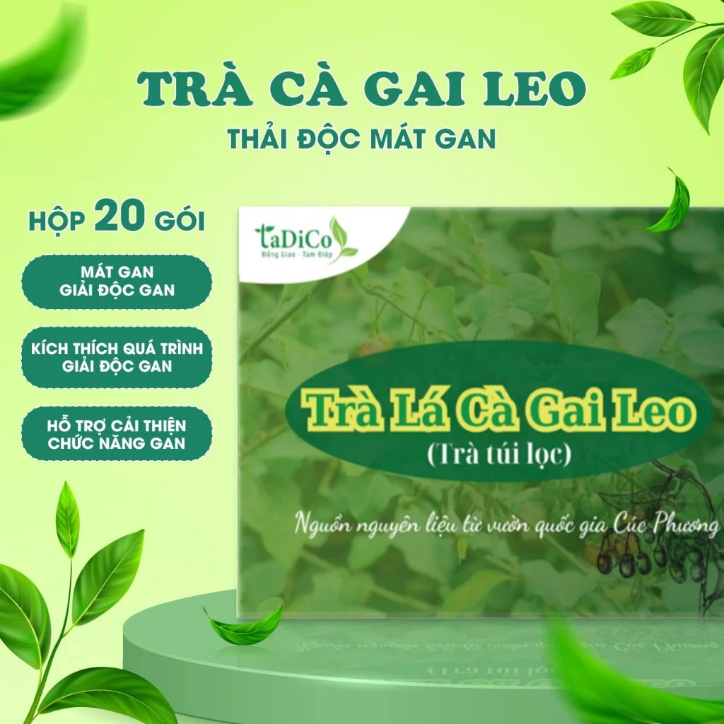 Combo 02 hộp trà túi lọc cà gai leo TADICO thanh nhiệt giải độc tốt cho gan Hộp 20 gói