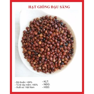 Hạt giống đậu săng (đậu chiều) dể trồng/gói 20gram