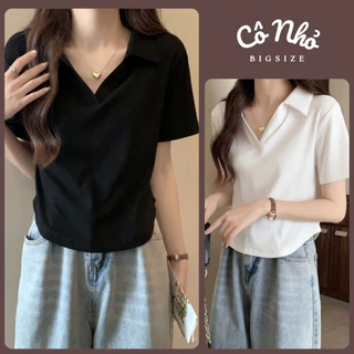 Áo Thun Polo Nữ Bigsize Cổ Bẻ Vạt Bầu Che Bụng Vải Thun Gân Co Giãn Thoải Mái G120