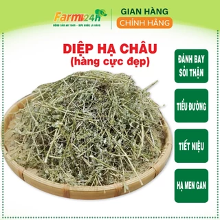 [02 kg] Diệp hạ châu (cây chó đẻ răng cưa) đánh bay sỏi thận, tiểu đường, ổn định và hạ men gan, 100% thiên nhiên