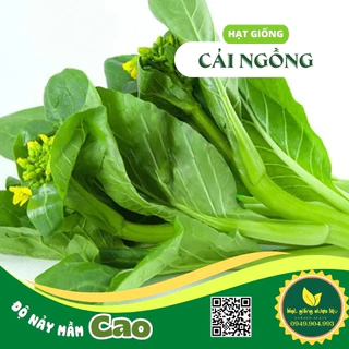 Hạt giống rau Cải Ngồng Bông rất nhiều dinh dưỡng