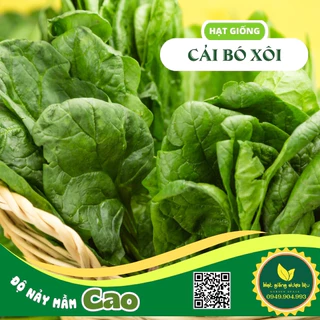 Hạt giống Rau cải bó xôi Nhật chịu nhiệt ( Rau chân vịt / Spinach )