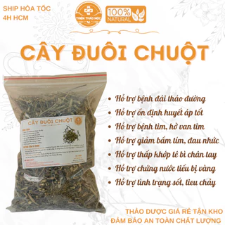 500g, 1kg Cây Đuôi Chuột (Mạch Lạc)  (Khô, Sạch, Thơm) - Thanh Nhiệt, Giải Độc, Lợi Tiểu, Tiểu Đường