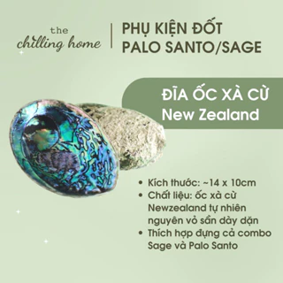 Vỏ Ốc Xà Cừ - Đĩa Đựng Xô Thơm & Palo Santo (Gỗ Trắc Xanh) - The Chilling Home