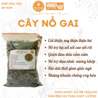 500g Cây Nổ Gai Thiện Thảo Mộc (Mới, Khô, Sạch) - Hỗ Trợ Suy Thận, Thận Yếu, Thận Hư, Đau Nhức Xương Khớp