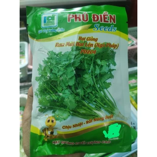 Hạt giống Ngò Hạt lớn ( Ngò Pháp) PD204 gói 50gr, chuẩn giống - Phương Thảo Garden