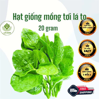 Hạt Giống Rau Mồng Tơi, Rau Mùng Tơi Lá To 20gr