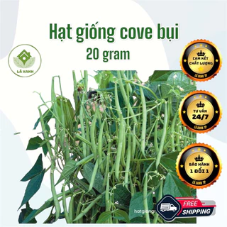 Hạt giống Đậu Cove Lùn Dạng Bụi - Đậu ve không cần làm giàn 20gr