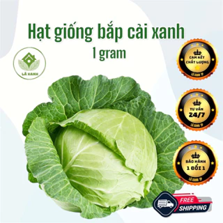 Bắp cải xanh F1-Năng suất cao 1g