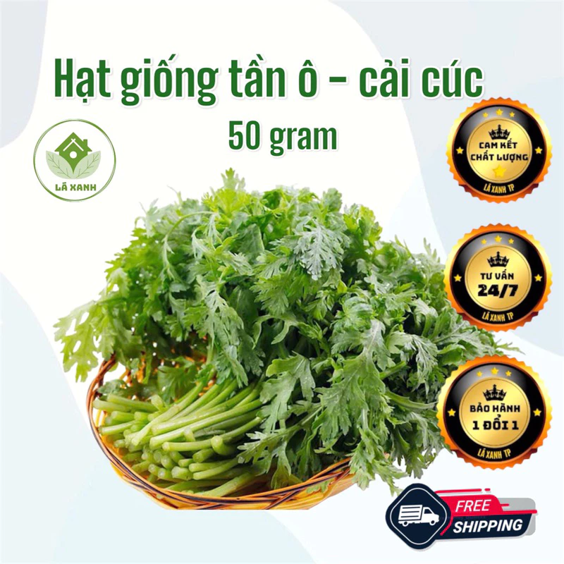 Hạt giống tần ô (cải cúc) 50g