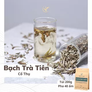 Bạch Trà Tiên Cổ Thụ Thiện Tài Búp Trà Cổ Thụ Hà Giang Hảo Hạng