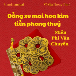 Mai Hoa Kim Tiền mang lại may mắn tài lộc