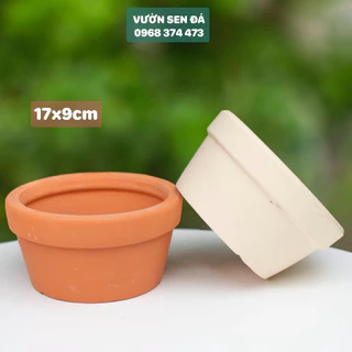 Chậu đất nung 17x9cm - Vườn sen đá