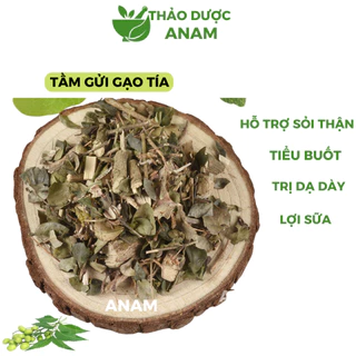 Tầm gửi gạo tía cho người bị thận và xương khớp tầm gửi cây gạo khô xanh thơm sạch TGG Thảo dược Anam