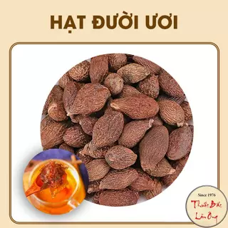 Hạt ươi bay 100g, hạt đười ươi rừng sấy khô giảm đau họng, khản tiếng - Lãn Ông