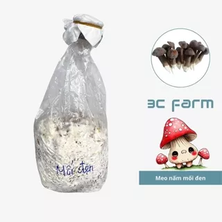 Meo giống nấm mối đen,giống nấm rễ dài (600gr) hàng có sẵn chất lượng - 3C FARM