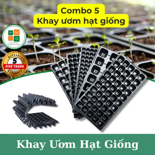 Combo - 5 khay ươm hạt giống cây trồng chuyên dụng, nhiều kích thước (bền, đẹp, chắc chắn)