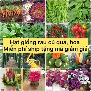 Hạt giống rau củ quả chịu nhiệt tốt, trồng quanh năm