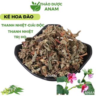 Cây Ké Hoa Đào Khô xanh thơm đã làm sạch không vụn Phan thiên hoa thanh nhiệt  KHD Thảo Dược Anam