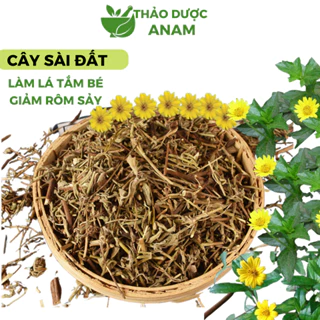 Cây sài đất khô lá tắm bé và mẹ thơm đã làm sạch không vụn cây sài đất tắm rôm sảy mẩn ngứa cho bé CSD Thảo dược Anam