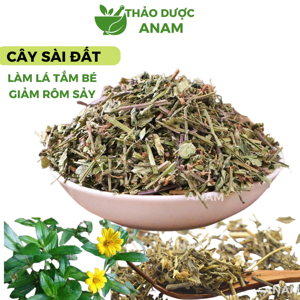 Cây sài đất khô 1kg làm lá tắm bé và mẹ giảm rôm sảy mẩn ngứa sạch xanh thơm CSD Thảo Dược Anam