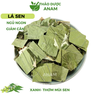 Lá sen khô giảm cân 1kg ngủ ngon làm trà lá sen giảm mỡ máu xanh thơm sạch không vụn LS Thảo dược Anam