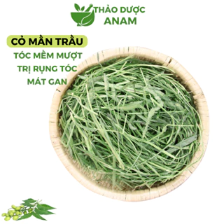 Cỏ màn trầu khô 1kg cỏ mần trầu khô sạch xanh thơm gội đầu giảm rụng tóc mượt tóc kích thích mọc tóc CMT Thảo Dược Anam