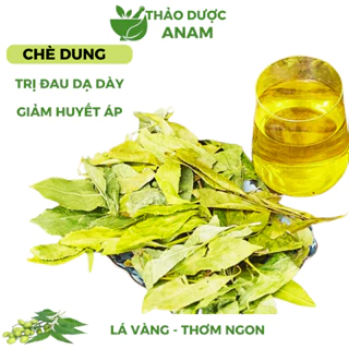 Chè Dung Khô Trà Dung Khô Sạch Thơm Không Vụn dễ uống chè dung rừng Nghệ An CDUNG Thảo Dược Anam