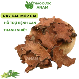 Cây mướp gai khô 1kg ráy gai củ móp gai khô thơm sạch không vụn tốt cho gan xương khớp thanh nhiệt MG Thảo Dược Anam