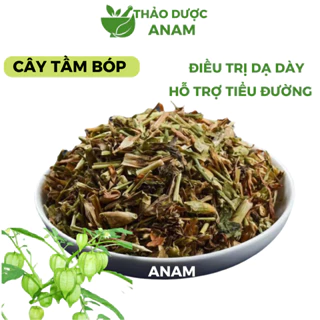 Cây tầm bóp khô 1kg cây lồng đèn thù lù khô cây bôm bốp đã làm sạch xanh thơm TB Thảo Dược Anam