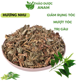 Cây Hương nhu khô Gội đầu 1kg sạch xanh thơm mùi tinh dầu không vụn làm lá tắm trị gàu giảm rụng tóc HN Thảo Dược Anam